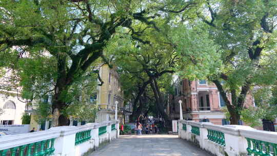 广州老街沙面大街历史景观欧式建筑