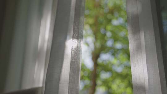 飘逸窗帘下午光影