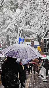 竖屏湖南下雪升格视频