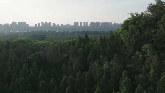 航拍长江山地城市