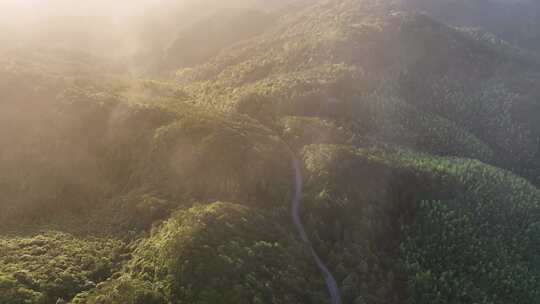 美丽乡村早清晨穿云雾森林盘山公路航拍山间