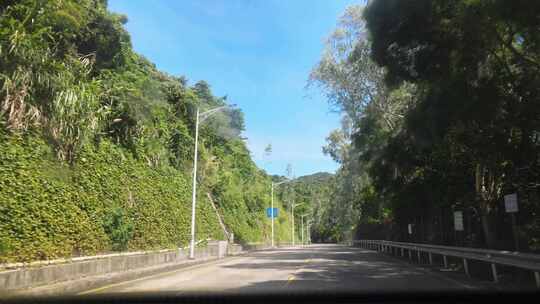 开车 驾驶 沿路 沿路风景视频素材模板下载