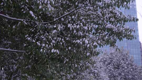 临沂城市道路意境氛围雪景