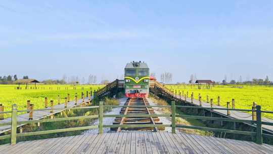 昆明市晋宁区沙堤村油菜花海