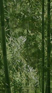 雾中的绿竹，茎叶