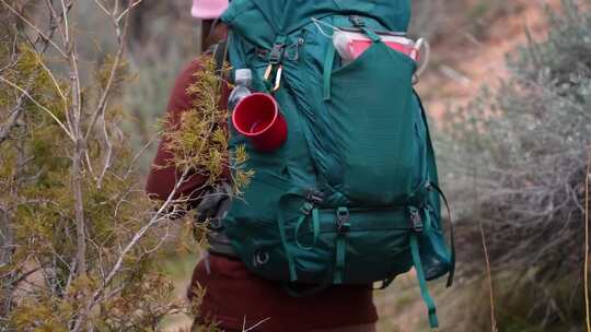 男人背包客在森林徒步登山