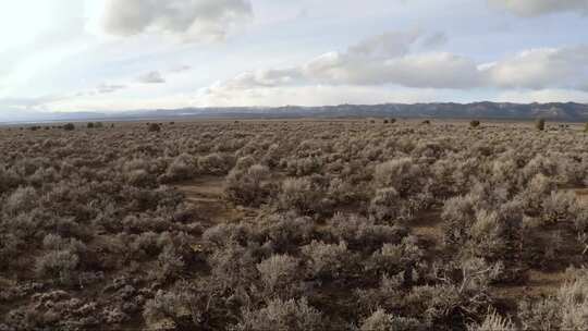 犹他州沙漠山谷与远处山脉的航拍和扫射