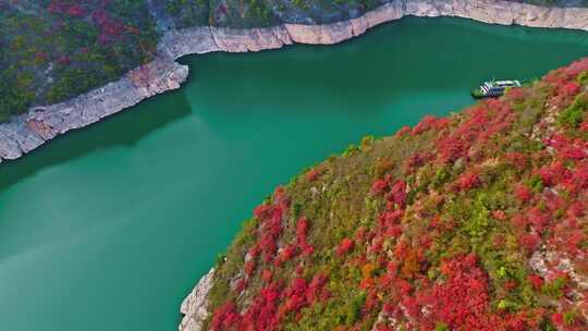 三峡红叶