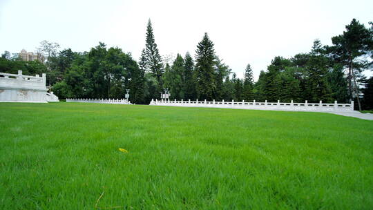 阳光草坪公园草地绿地