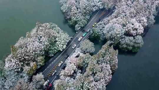 中国杭州西湖杨公堤雪景