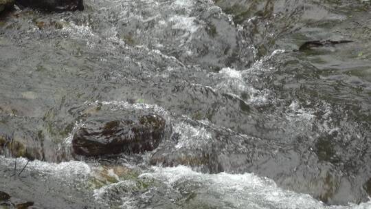 静静流淌的溪水