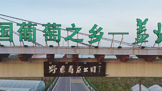 中国葡萄之乡盖北-葡萄种植地视频素材模板下载