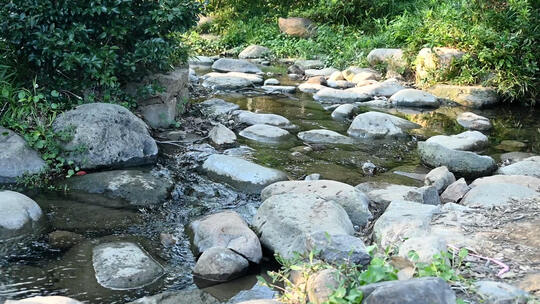 布满石头和绿植的小溪流水景观