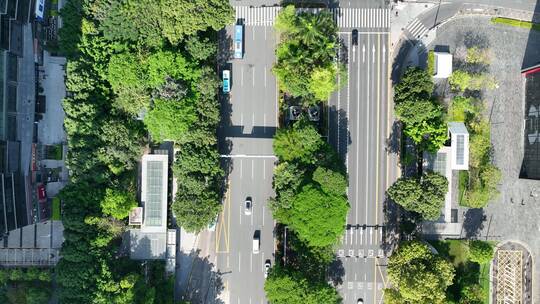 深南大道 道路 公路 车辆