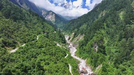 航拍四川贡嘎山区南门关沟森林河谷雪山风光