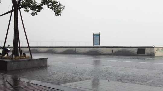 钱塘江下暴雨树枝摇晃空镜头视频素材模板下载