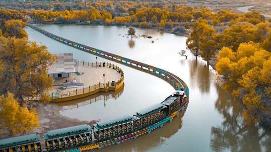 额济纳胡杨林小火车内蒙古风景秋天胡杨