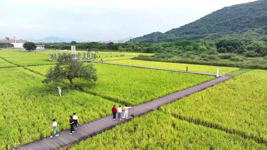 中国广东省广州市从化艾米稻香小镇