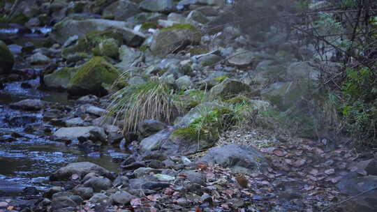 清澈的山涧溪水高速升格4K镜头视频素材模板下载