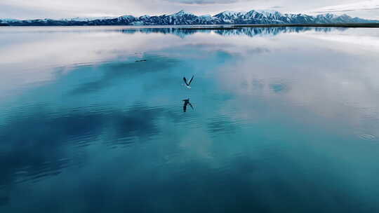 雪山高原湖面飞鸟唯美空镜
