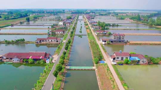 江汉平原 淡水养殖