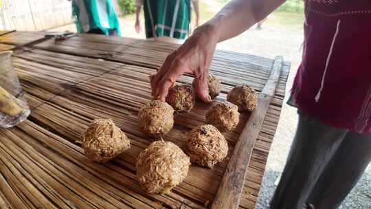 泰国清迈游客制作大象食物