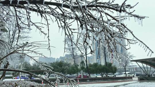 湖南冰冻雨雪天气