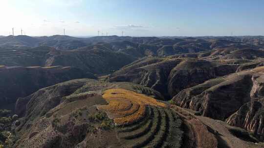 陕北黄土高原地貌