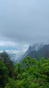 安徽黄山风景区雨后云海水墨风景区宣传片