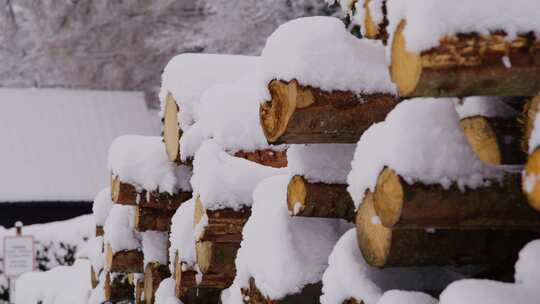 木材原木，雪，冬季，奥地利