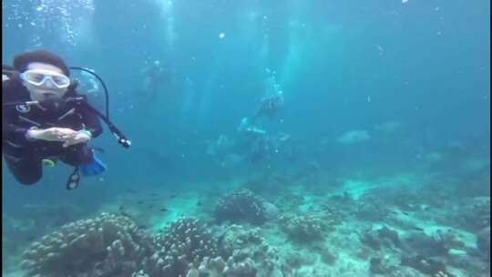 海底世界自由泳观赏