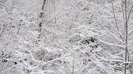 冬季冰雪风景