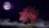 星空下的樱花树高清在线视频素材下载