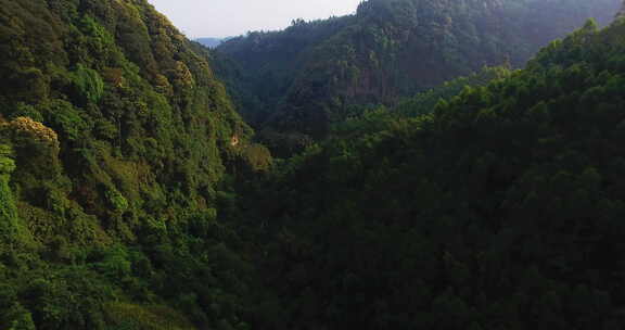 航拍大山风景森林林场早晨阳光美丽自然素材