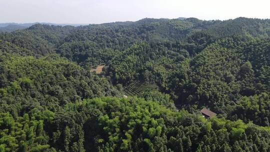 航拍祖国大好河山青山森林桃花源秦谷