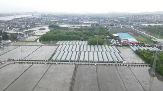 上海浦江镇农村农业生产种植农田灌溉4K航拍
