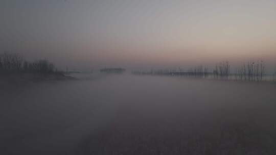 雾霭弥漫的野外晨景