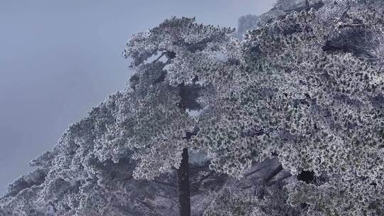 安徽黄山雪景