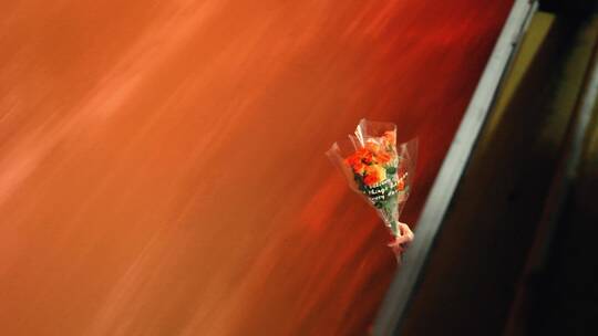 一束花在江水背景下的浪漫唯美色彩视频素材模板下载