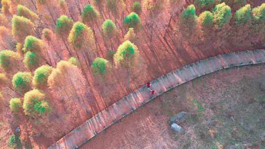 4K航拍云南滇池边秋天日落晋宁东大河湿地