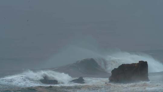 Nazare，葡萄牙，鸟类，飞行