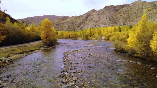 新疆秋景喀纳斯禾木河流航拍