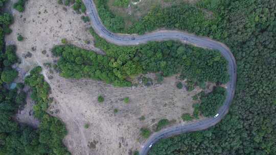 伍兹弯曲道路上的汽车