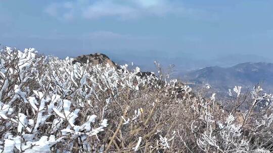 泰山之巅，春日雾凇