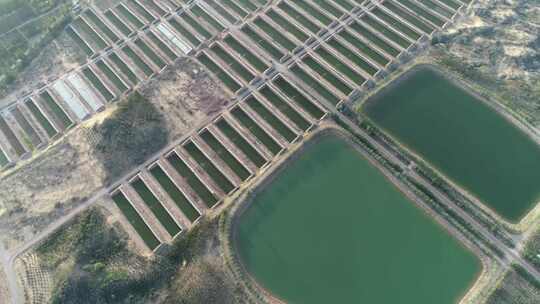 宁夏灵武白笈滩温室大棚航拍1