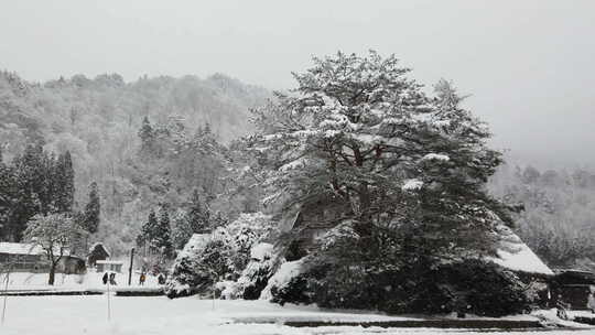 乡村的雪景