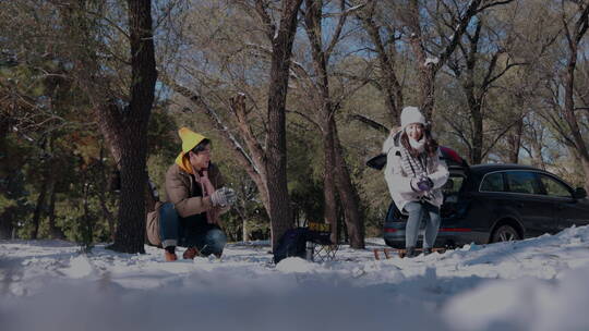 幸福情侣在雪地里玩耍视频素材模板下载