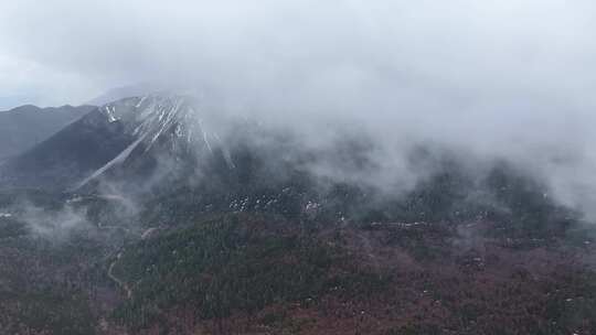 航拍云南香格里拉雪山森林草原 自然风光