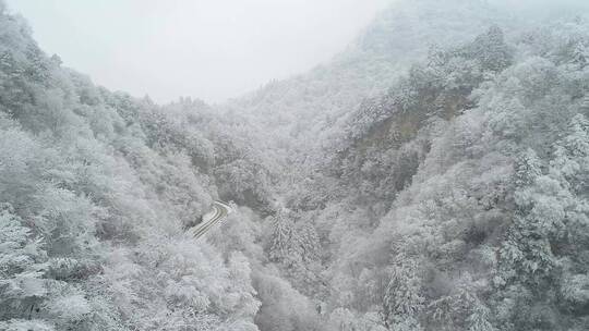 秦岭 雪景  航拍 冬天 大自然