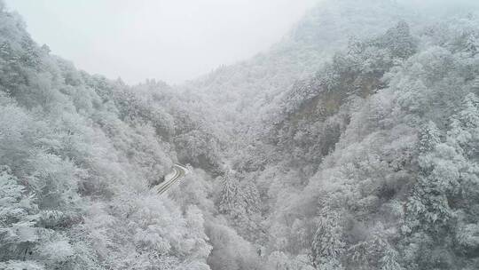 秦岭 雪景  航拍 冬天 大自然视频素材模板下载